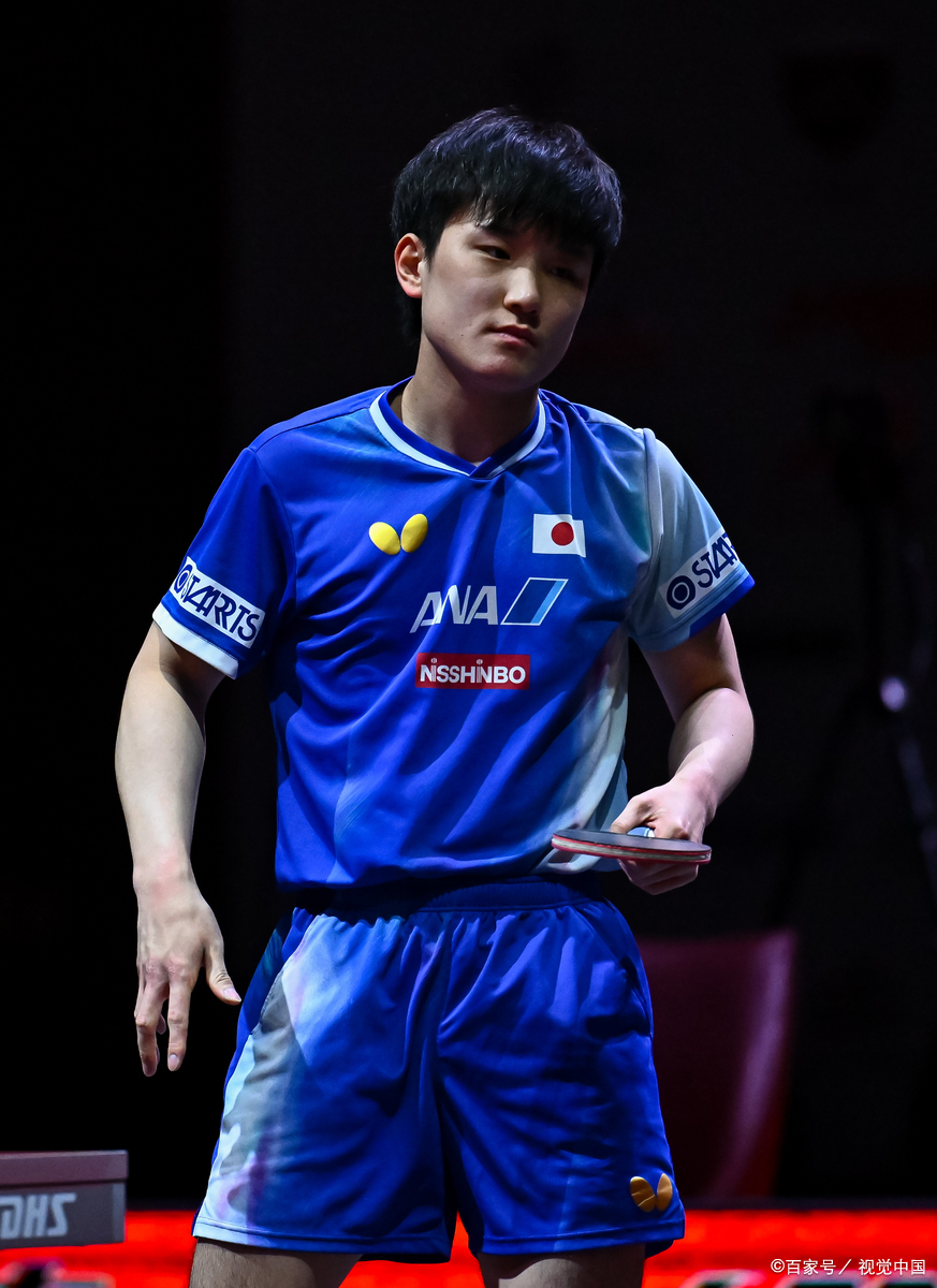 德国乒乓球队轻取比利时乒乓球队，张本智和关键制胜的简单介绍