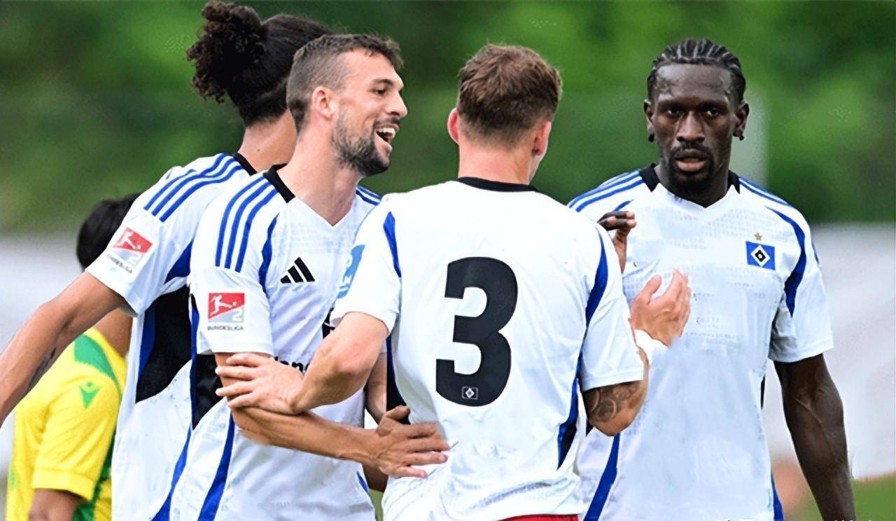 中国米兰体育-汉堡新援表现出色，为球队贡献进球的简单介绍